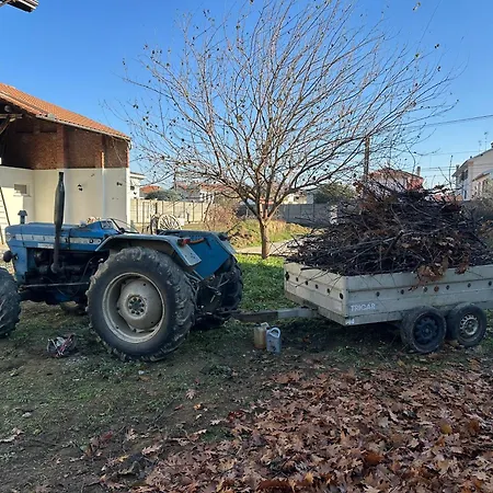 Il Rosmarino 3* Galliate